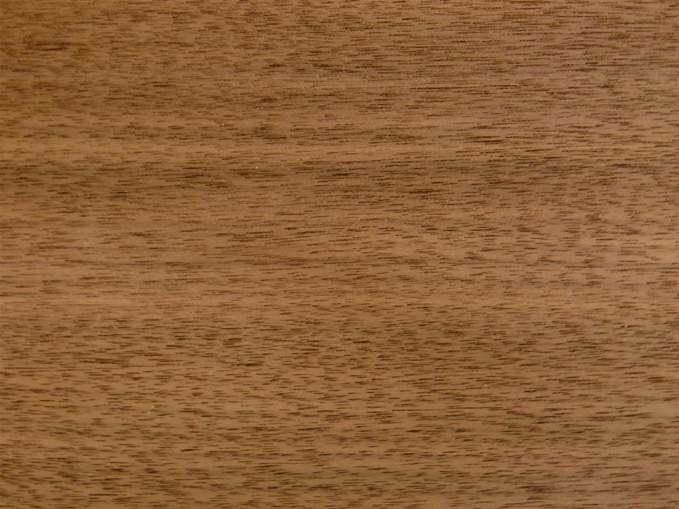 American Walnut, natural veneer
